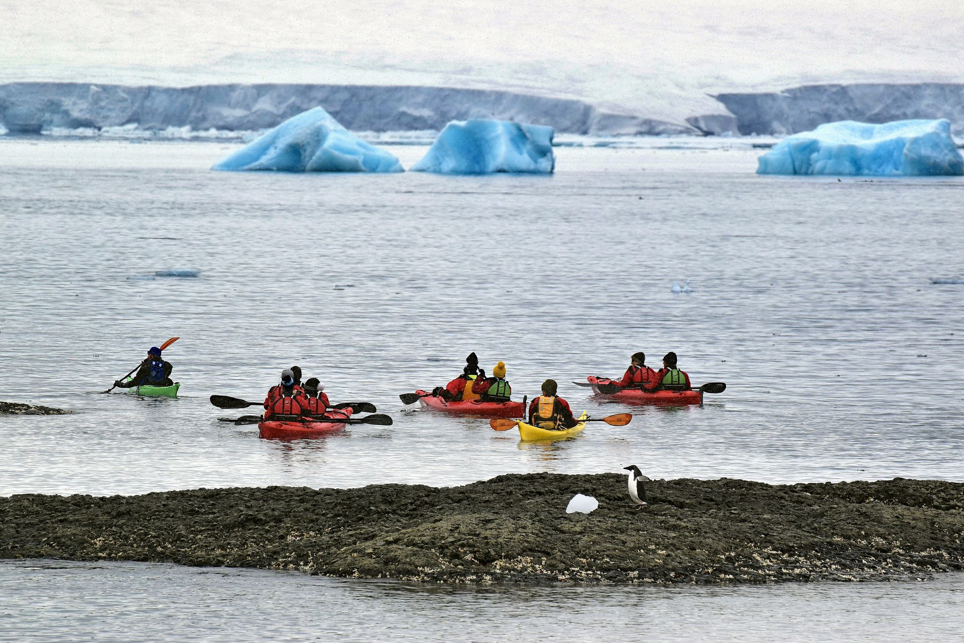 Sea kayakers paddling toward blue icebergs off Brown Bluff, Antarctica, watched by a penguin on a rocky reef