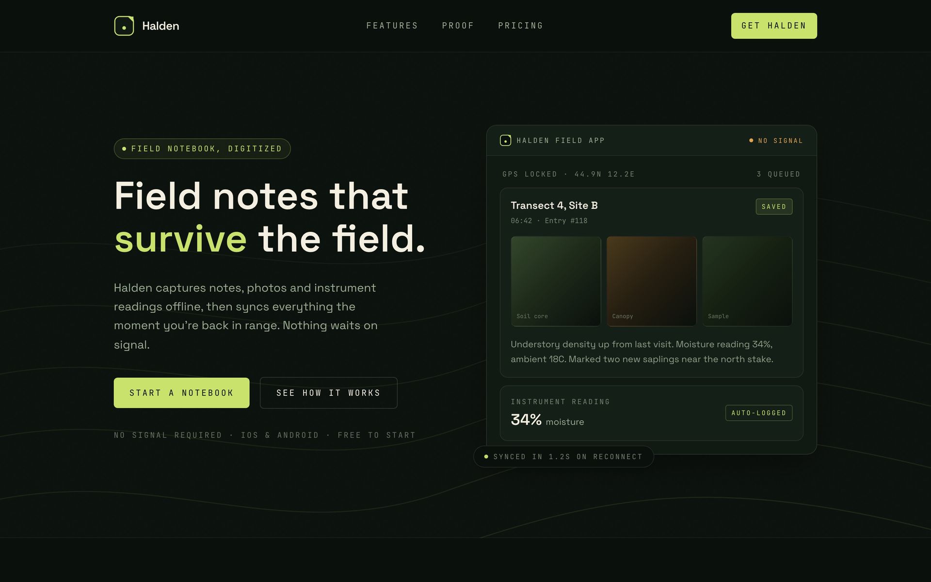 A page built by the Brandkit design skill