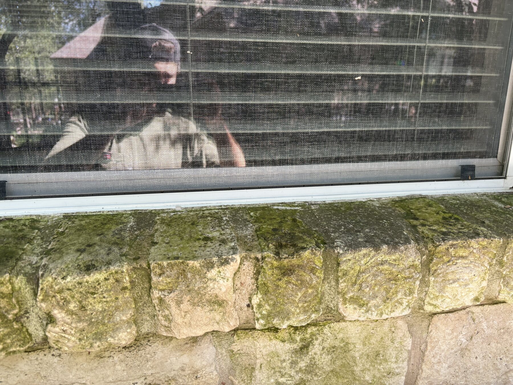 Before photo of moss and staining below a Buda window