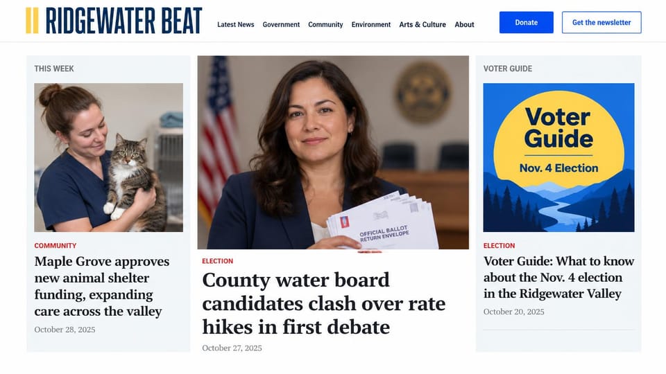 News and magazine website design, valley news with a drawn voter guide: white page, bold navy condensed wordmark with yellow bars, a blue donate button, a shelter worker holding a cat, a candidate holding ballot envelopes, an illustrated voter guide card in yellow and blue