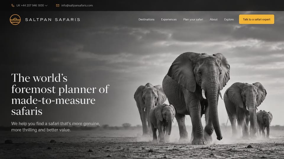 Travel agency website design, safari specialist in black and white: black and white photo of an elephant herd walking toward the camera, large white serif headline on the left, yellow expert button, a phone and email bar on top