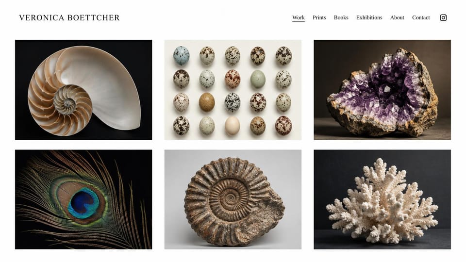 Photography website design, fine art still life of natural objects: white page, a serif name and a six-photo grid of a shell, speckled eggs, amethyst, a feather, a fossil and coral