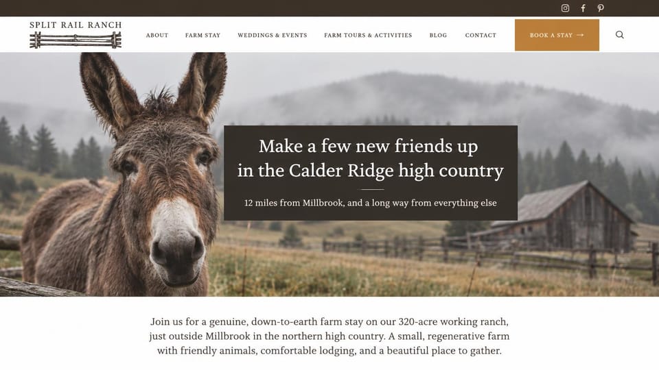 Farm website design, ranch farm stay with a friendly donkey: white header with a brown stay button, a shaggy donkey in a misty pasture with a barn behind, white serif headline in a dark box