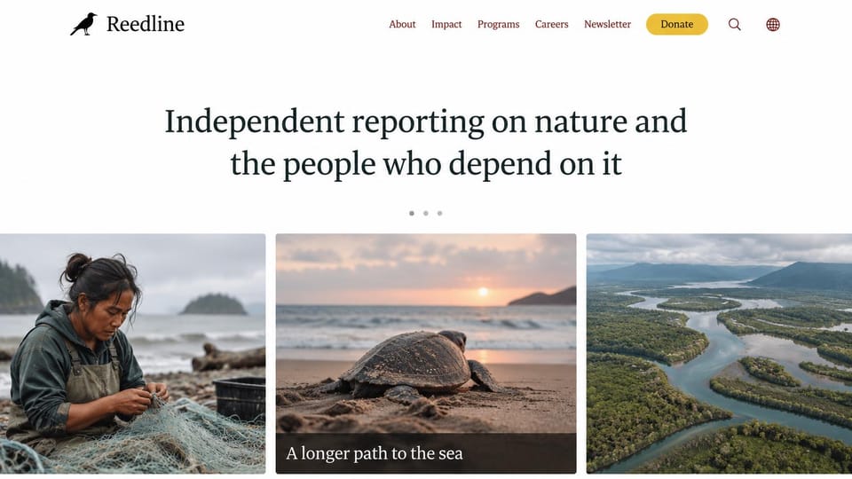 News and magazine website design, nature journalism with a three-photo front page: white page, black bird logo and dark red menu, yellow donate button, centered dark serif headline, photos of a woman mending a fishing net, a sea turtle at sunset and a winding river delta