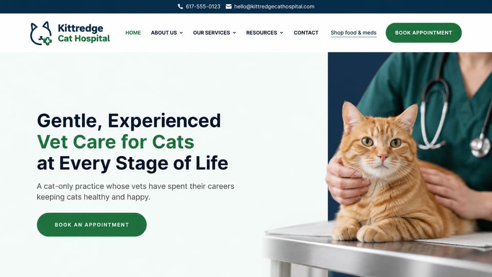 Veterinary website design, cat hospital in mint and green: white page fading to mint, a dark headline with a green middle line, a green button, a photo of an orange cat with a vet