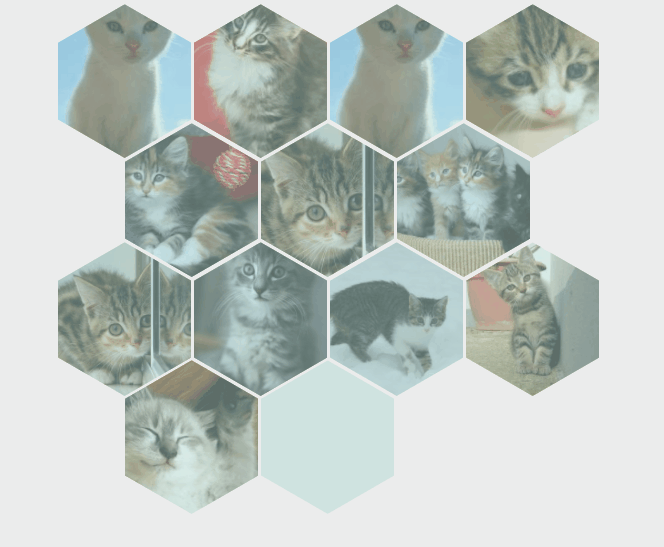 CSS Hexagons - Responsive Hexagonal Grid