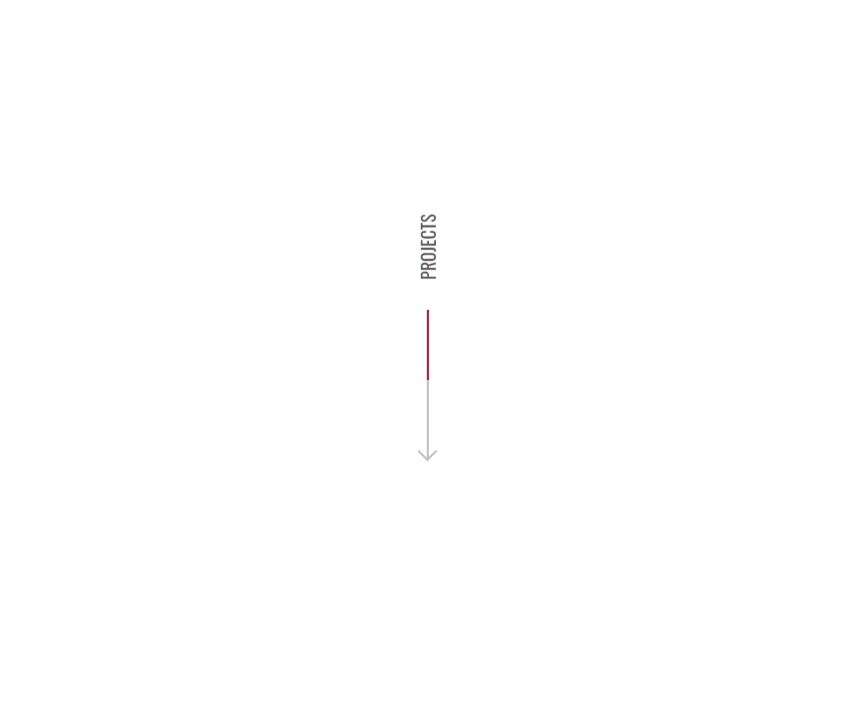 CSS Arrows - Arrow animate