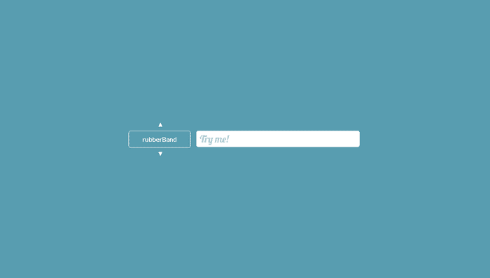 jQuery Input Text - Fancy Animated Input Field