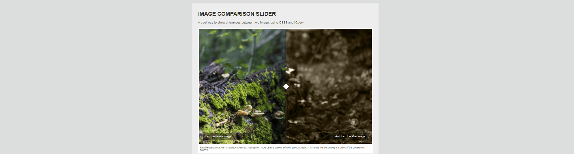 CSS Sliders - Image Comparison Slider