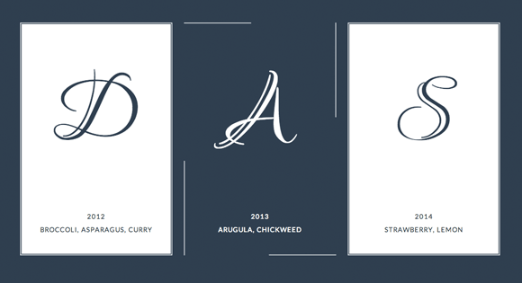 CSS Border Animations - Border Animation Effect with SVG and CSS