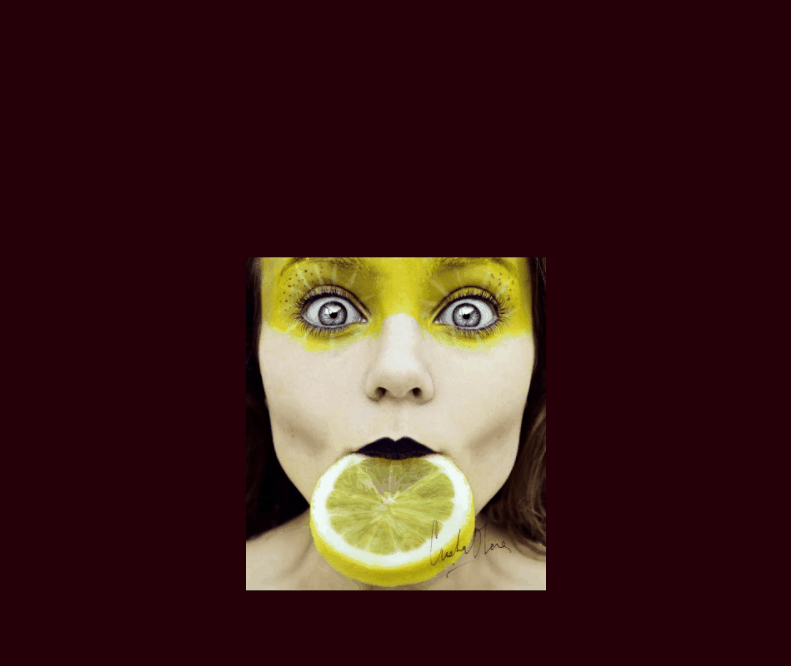 CSS Card Hover Effects - Simple CARD hover effect
