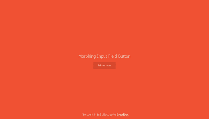 jQuery Input Text - Morphing Input Field Button