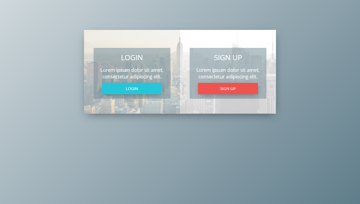 CSS Forms - Login & Sign Up Form Concept