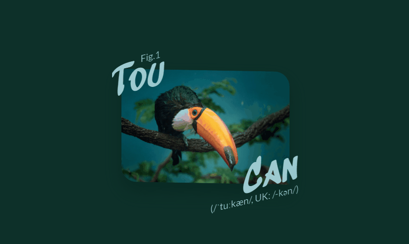 HTML <figure> & <figcaption> with CSS - Playful CSS figure & figcaption