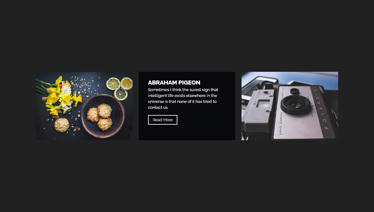 CSS Image Effects - #1256 - Image hover