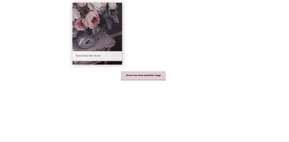 HTML <figure> & <figcaption> with CSS - Figure & Figcaption Tags
