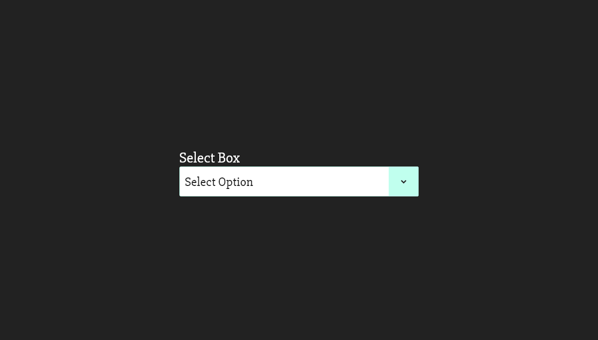 CSS Select Boxes - Custom Select Box