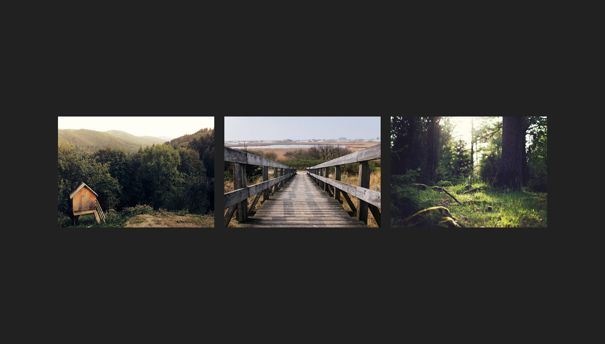 CSS Image Effects - #1019 - Image hover effect with caption