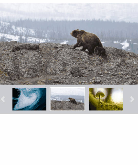 Bootstrap Carousels - Bootstrap 4 Carousel / Slider with Thumbnail Navigation