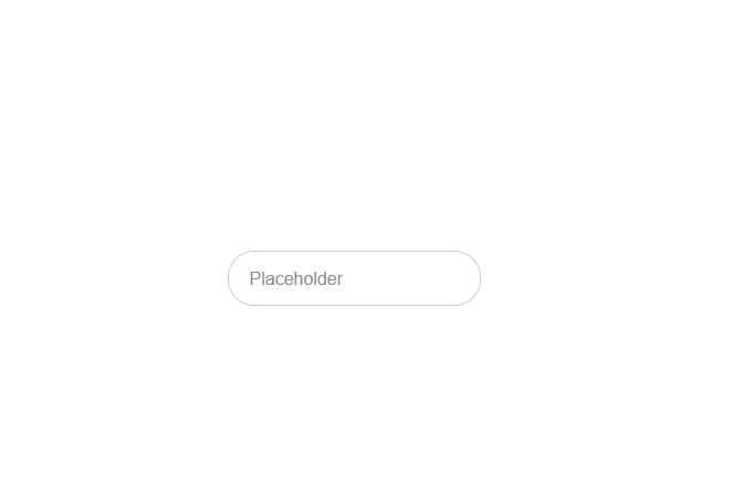 CSS Input Text - Adaptive Placeholder