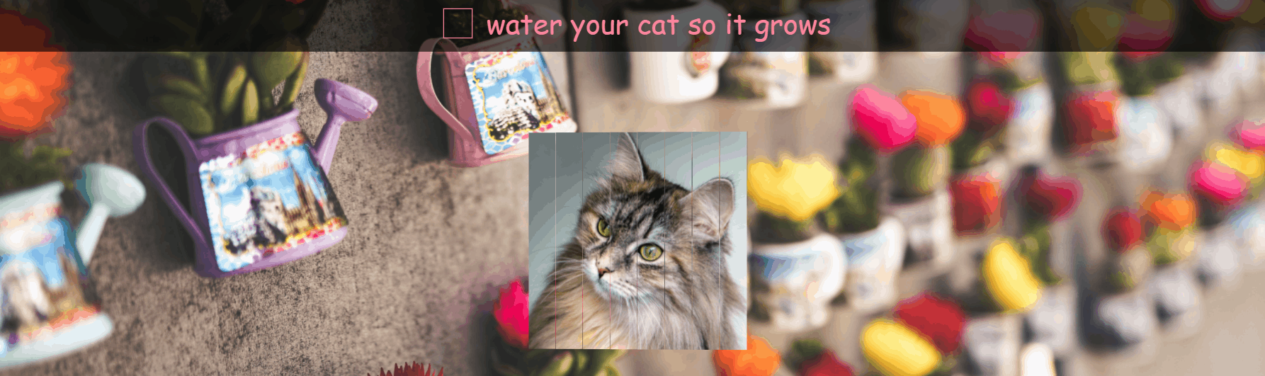 CSS Image Effects - Water Your Cat (no Edge Support)