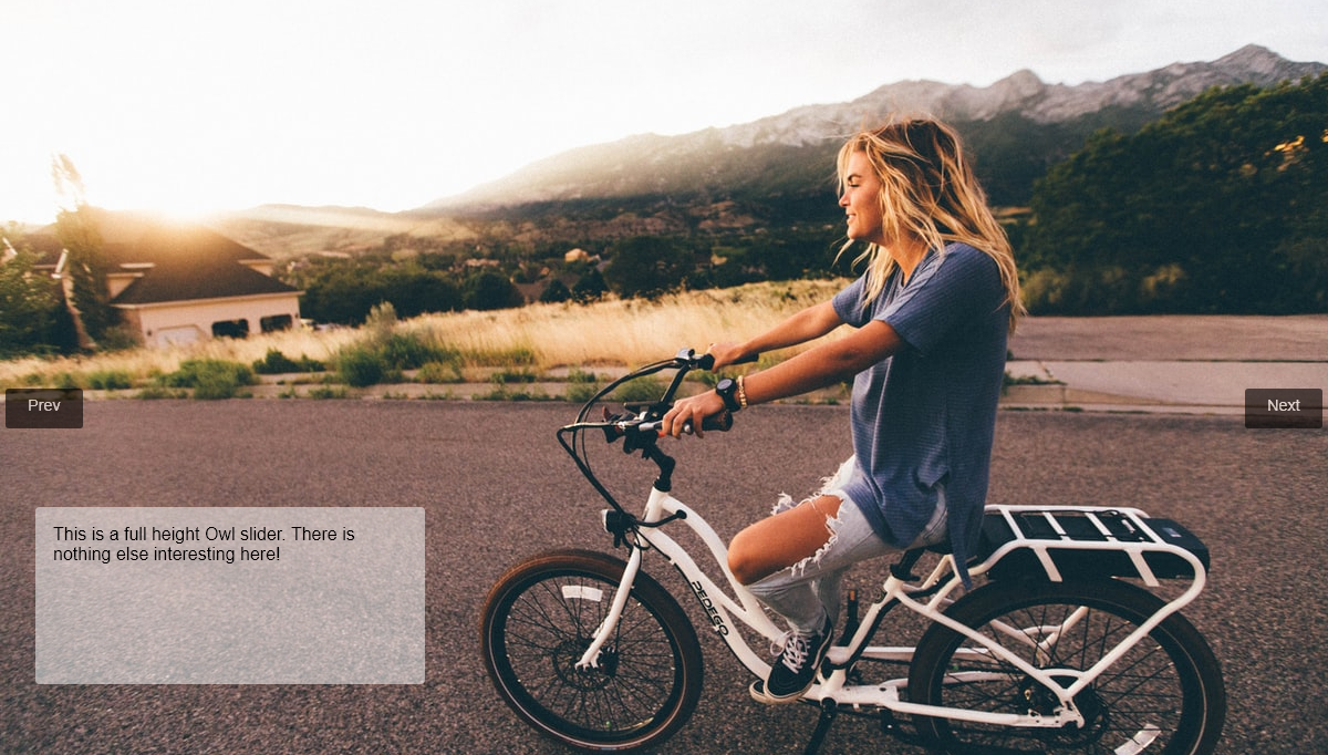 jQuery Carousels - Owl Carousel - Full width/height