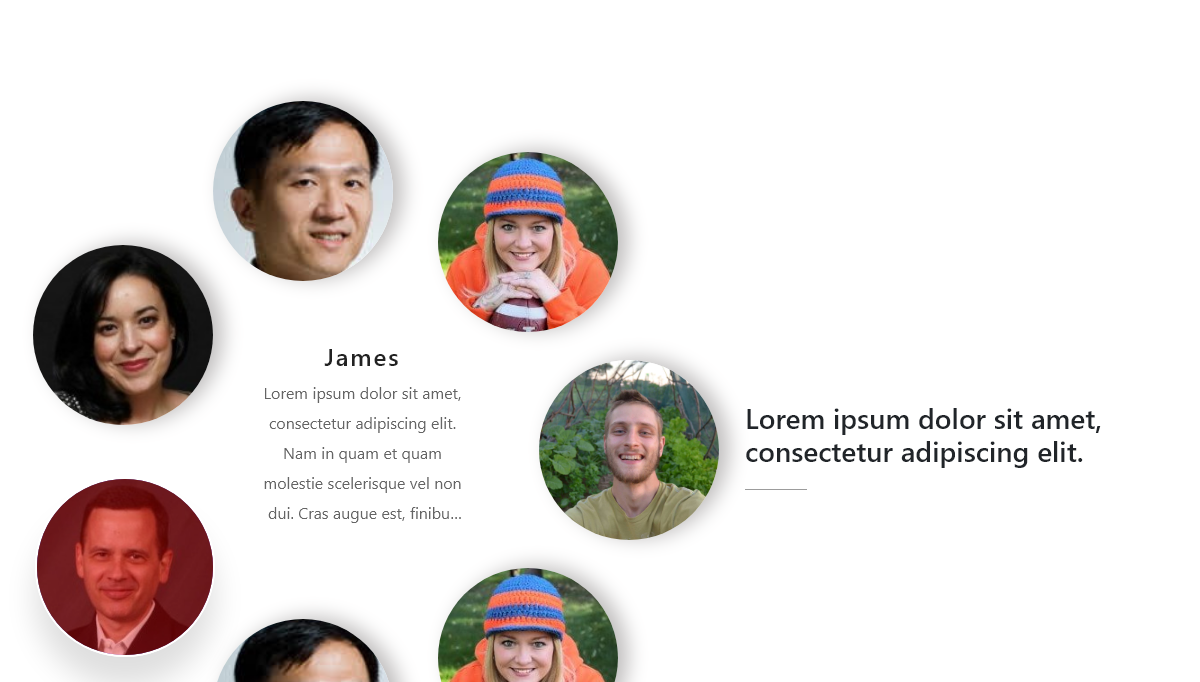 jQuery Sliders - Round Dot Testimonial Slider 