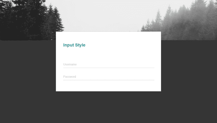 CSS Input Text