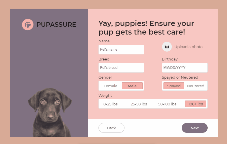 CSS Forms - Pupassure Sign Up Form - Day 5 - 100 DAYS - 2020
