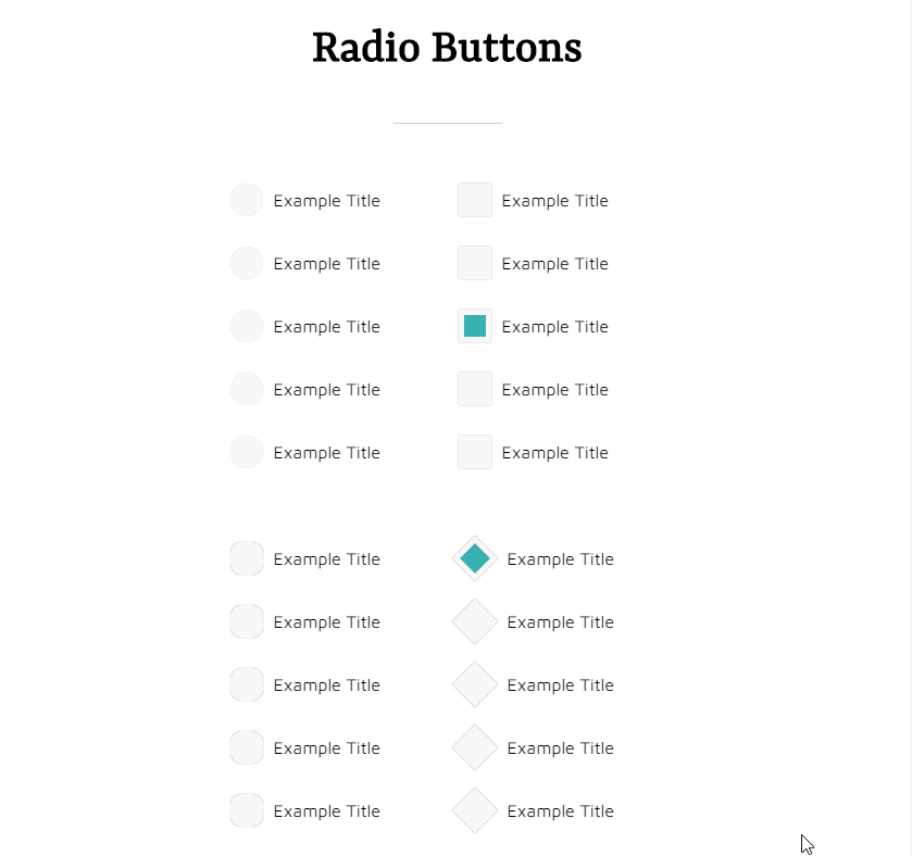 Checkboxes CSS - Radio and Checkbox Styles