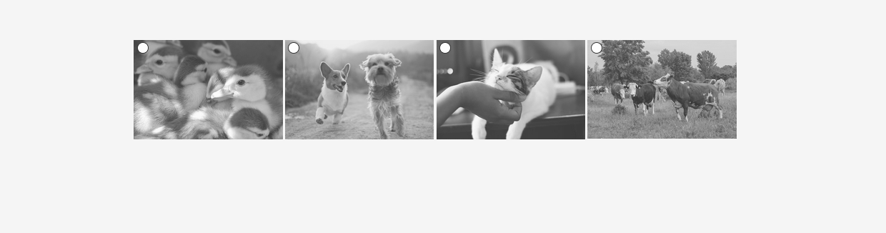 CSS Image Effects - image selector with reflection