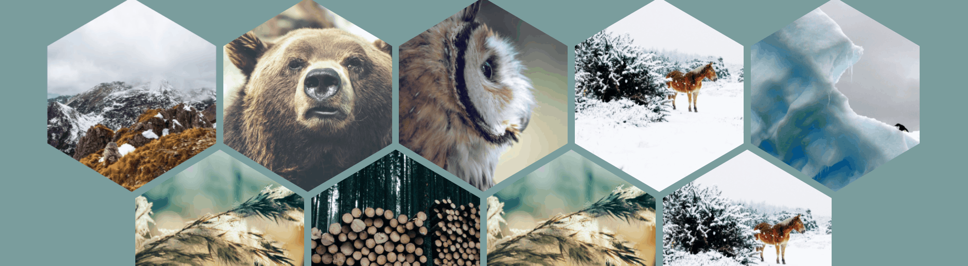 CSS Hexagons - Hexagonal Responsive Grid