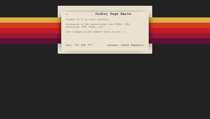 CSS Profile Cards - 90's profile card