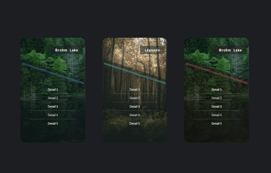 CSS Cards - UI - Flip Card (using :focus-within For A11y)