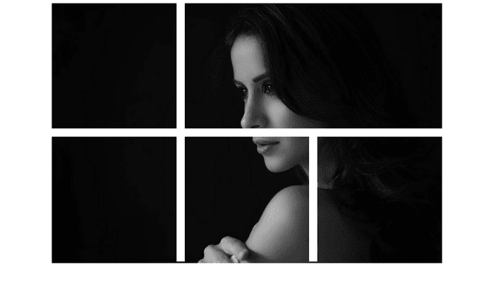 CSS Image Effects - Image Mosaic Effect with CSS Grids & Blend Modes