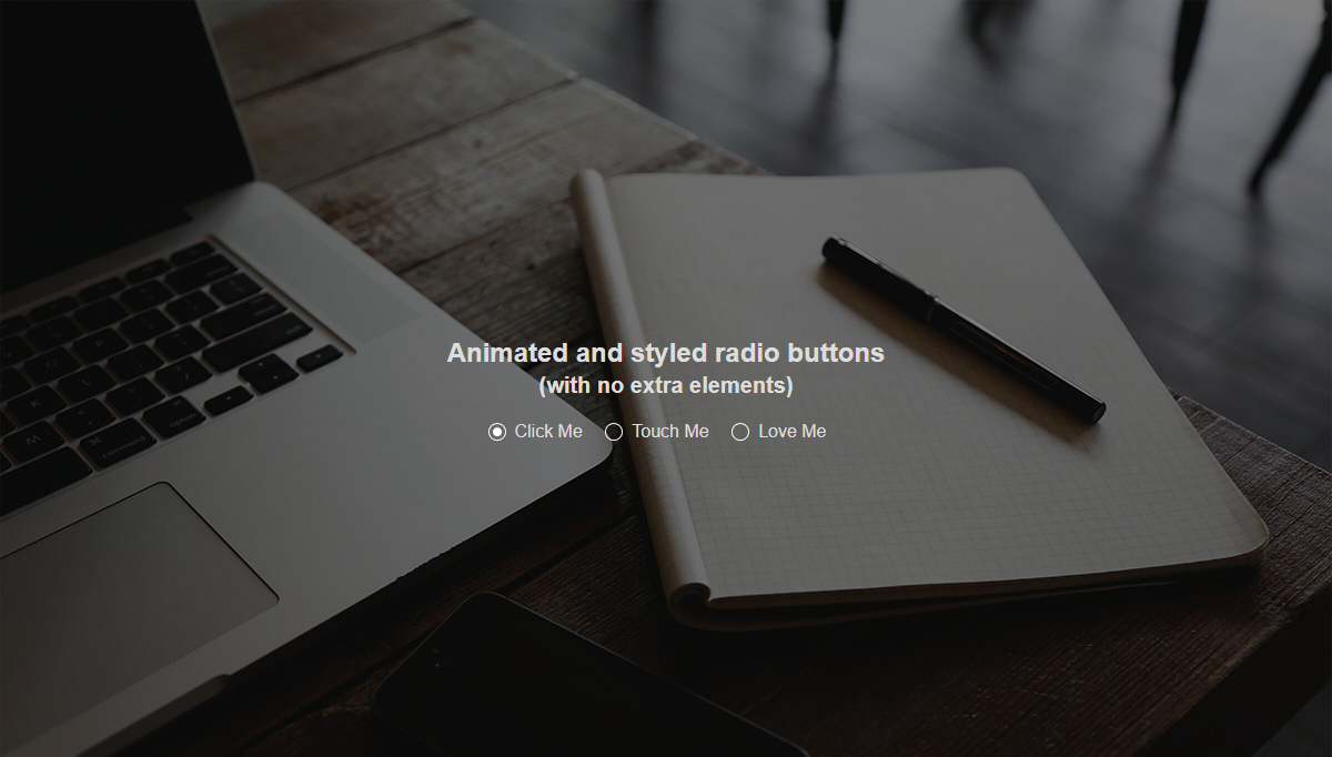 Radio Buttons CSS - 2 elements 1 styled radio