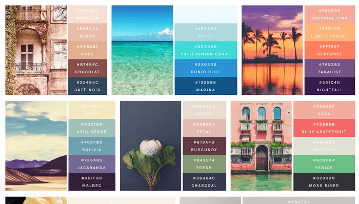 CSS Color Palettes - Color Palettes With Flexbox