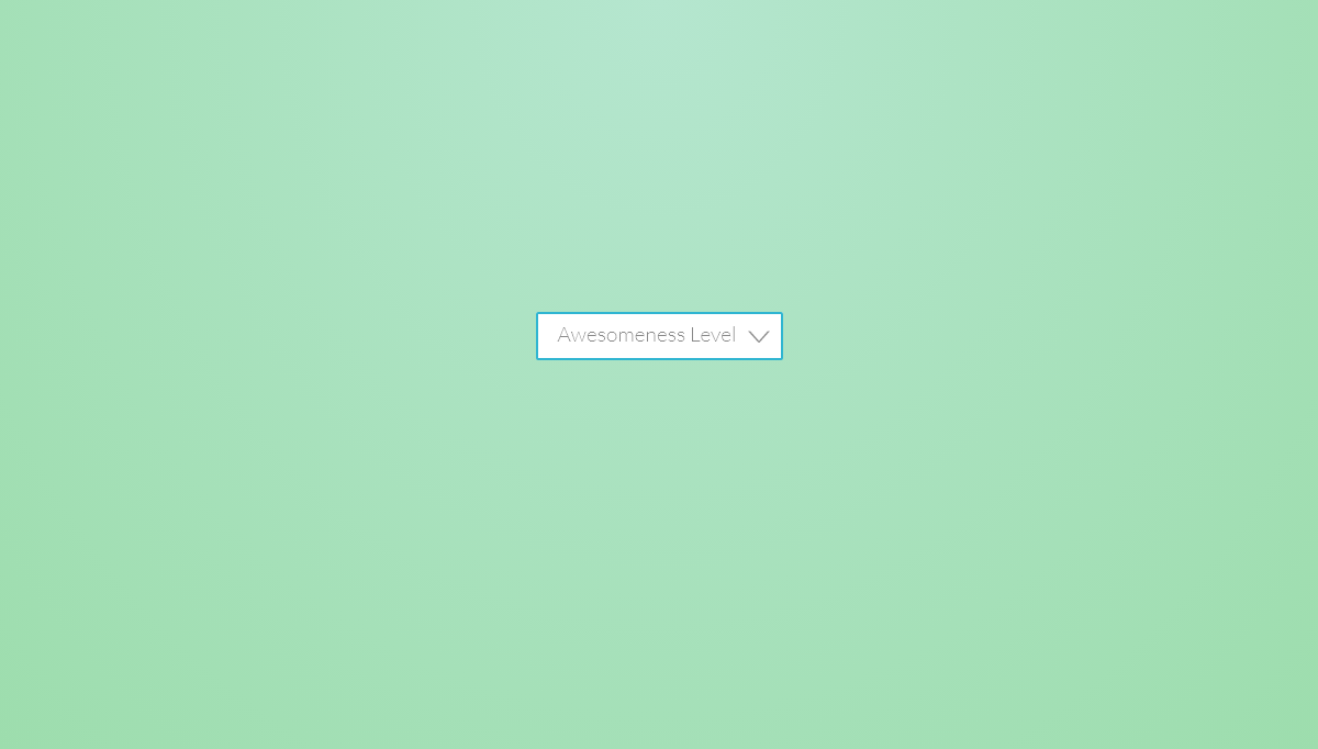 CSS Select Boxes - CSS only Select