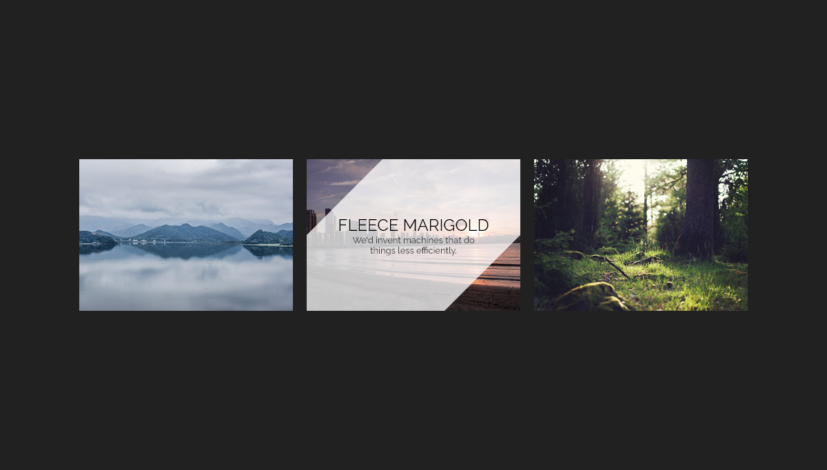 CSS Image Effects - #1206 - Image hover effect with caption