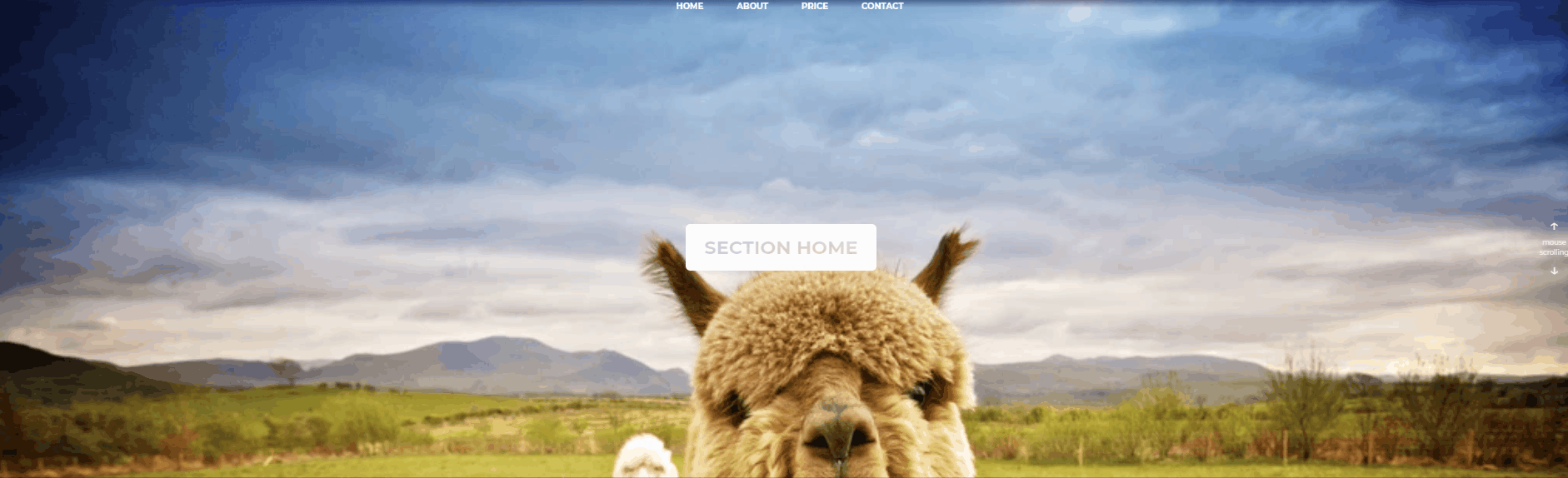 CSS Scroll Effects - CSS scroll-behavior, scroll-snap-type & mix-blend-mode