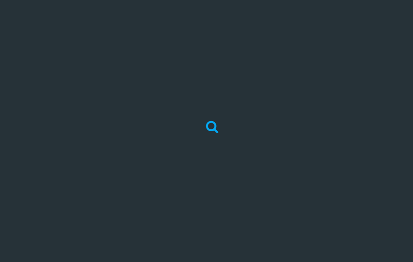 CSS Forms - Animated Search Box