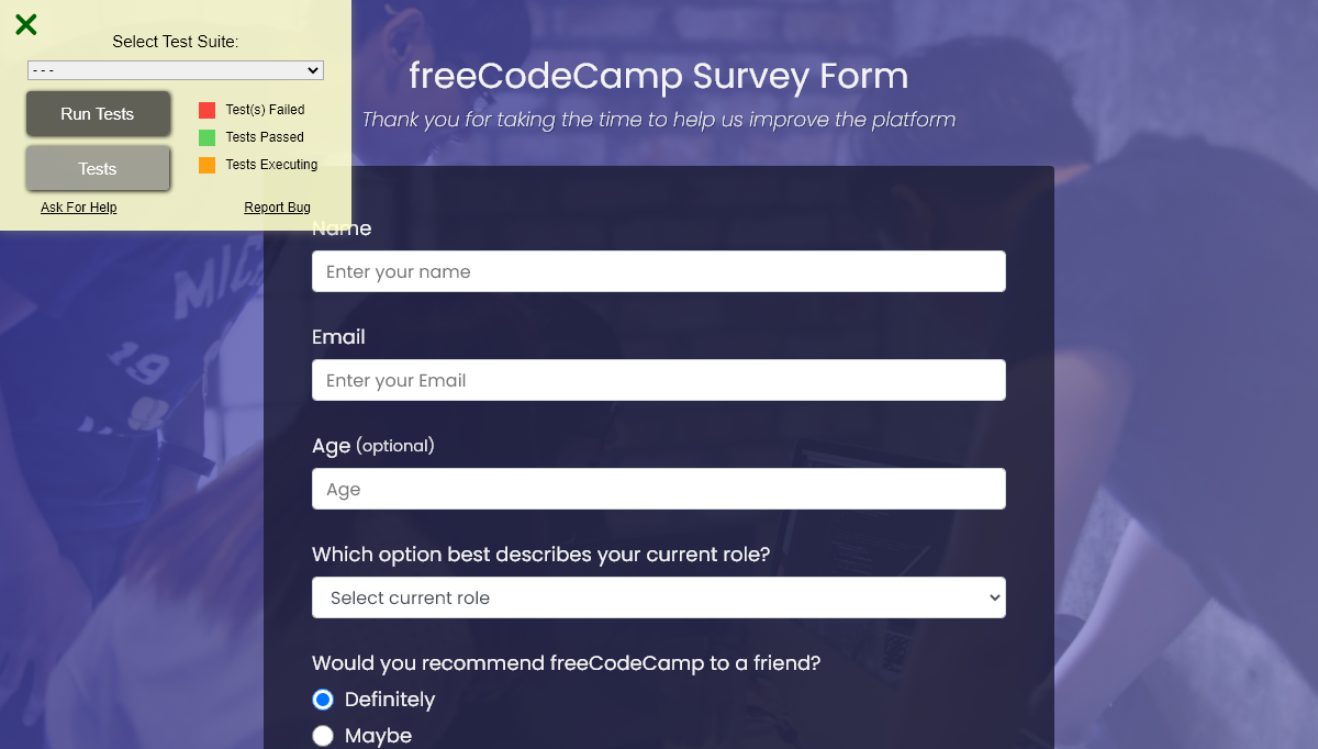 CSS Forms - FCC Build a Survey Form