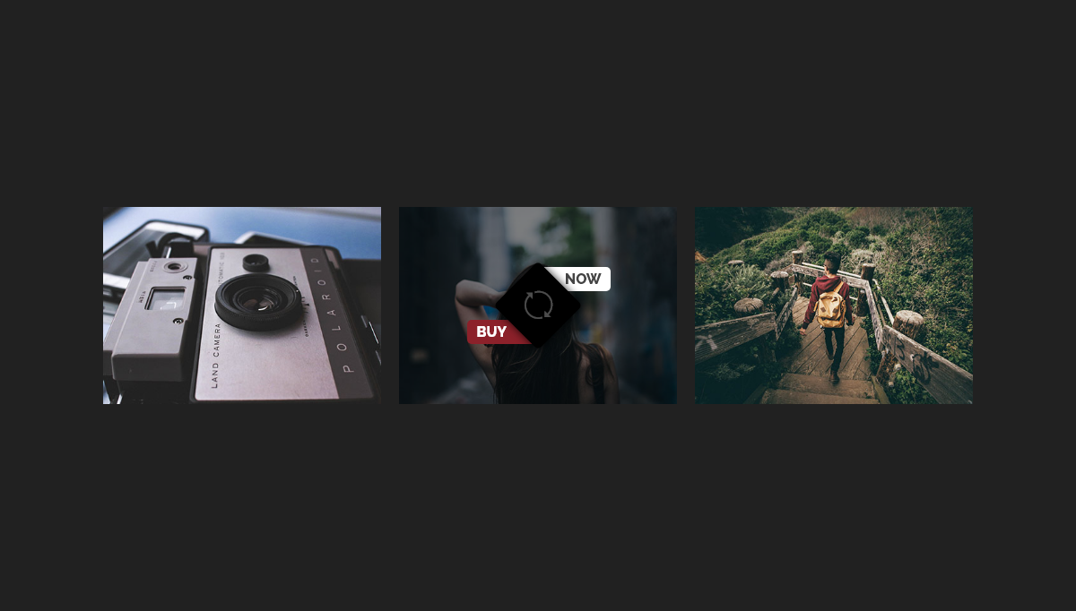 CSS Image Effects - #1033 - Image hover effect with icon and split caption