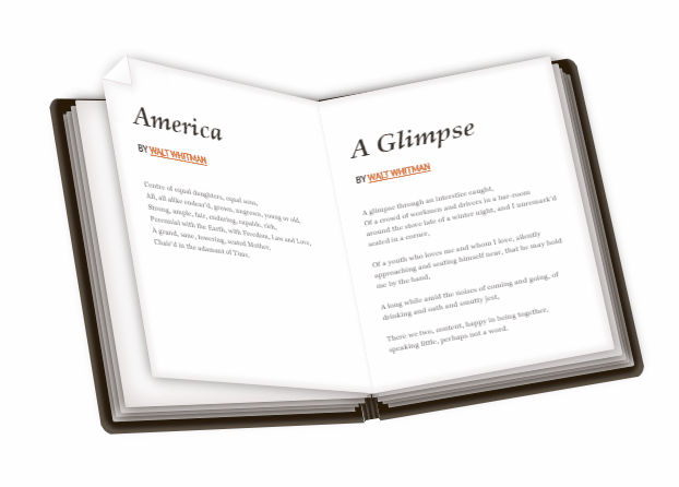 CSS Book Effects - Book. HTML+CSS Only.