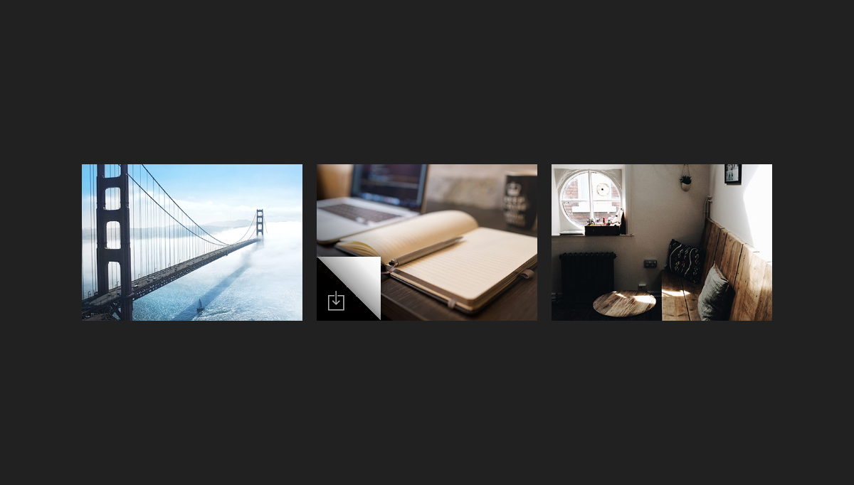 CSS Image Effects - #1023 - Image hover effect with icon