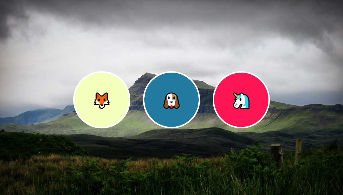 CSS Hover Effects - Attract hover effect