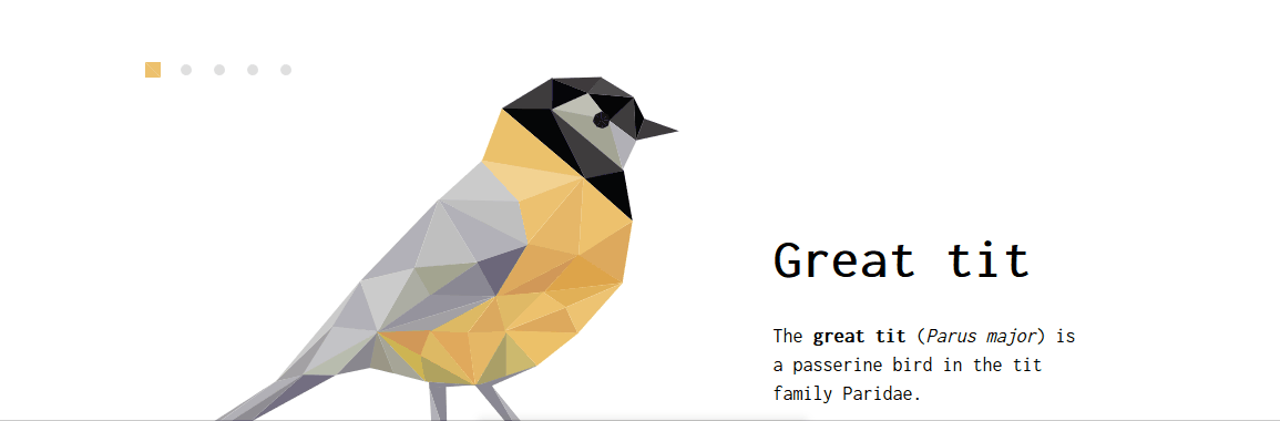 CSS Slideshows - Geometrical Birds - slideshow