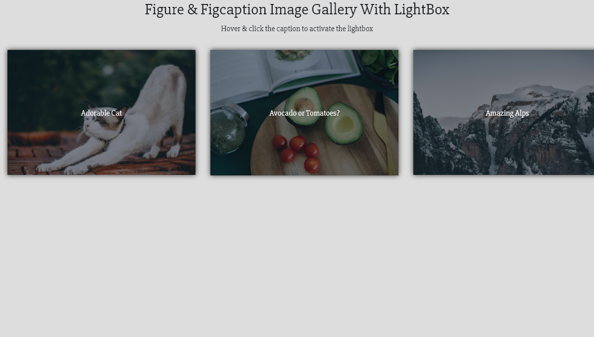 HTML <figure> & <figcaption> with CSS - CPC: Figure & Figcaption Image Gallery With LightBox