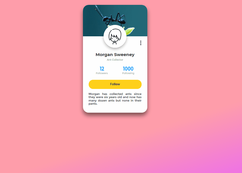 CSS Cards - Fairly Colourful Profile Card