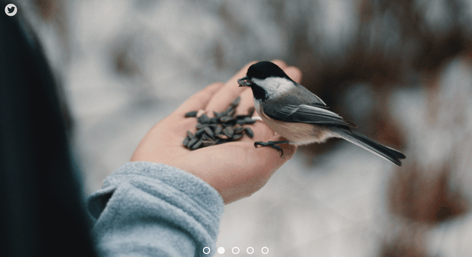 CSS Sliders - Pure css slider